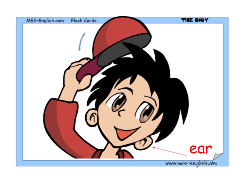 ear